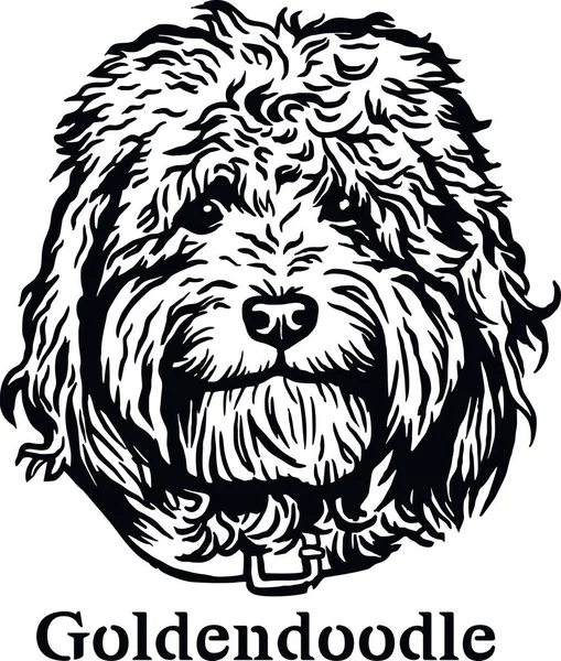 Goldendoodle - Funny Dog, Vector File, Cut Stencil for Tshirt — стоковый вектор