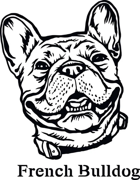 French Bulldog - Funny Dog, Vector File, Cut Stencil for Tshirt — Stock Vector