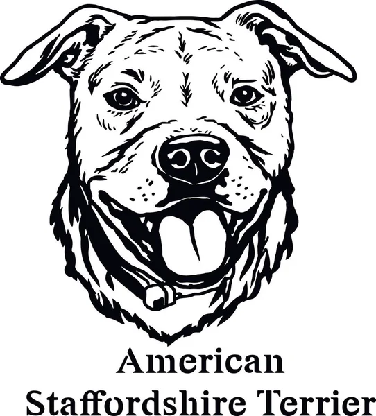 American Staffordshire Terrier - Funny Dog, Vector File, Cut Stencil for Tshirt — Vector de stoc