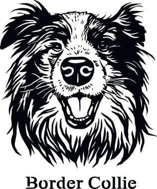 Collie Sınırı - Komik Köpek, Vektör Dosyası, Tişört Şablonunu Kes