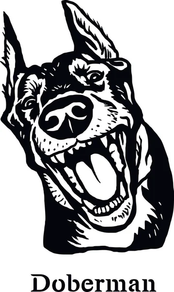 Doberman - Funny Dog, Vector File, Cut Stencil for Tshirt — 스톡 벡터