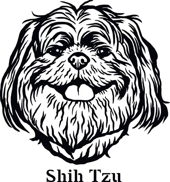 Shih Tzu - Perro gracioso, Archivo vectorial, Corte la plantilla para la camiseta — Archivo Imágenes Vectoriales