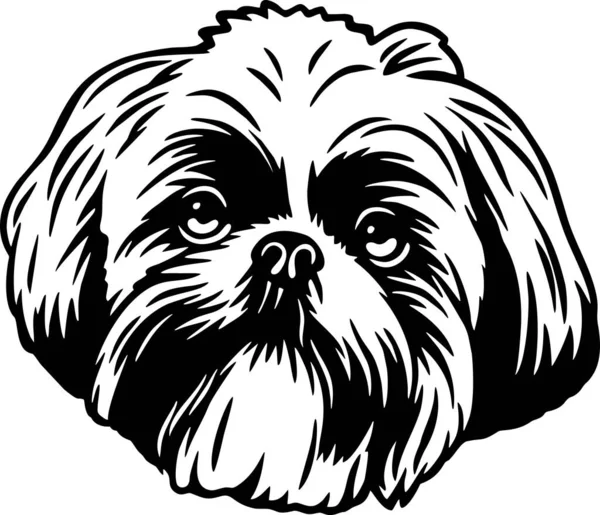 Shih Tzu - Perro gracioso, Archivo vectorial, Plantilla para camiseta — Archivo Imágenes Vectoriales