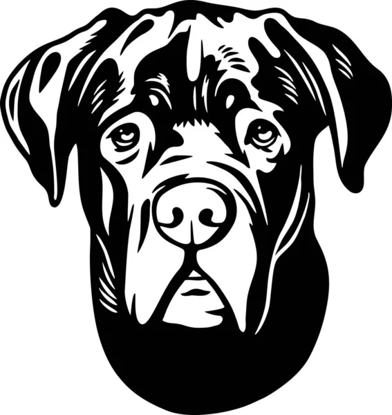 Cane Corso - Funny Dog, Vector File, Stencil for Tshirt — 스톡 벡터