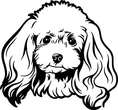 Fino - Komik Köpek, Vektör Dosyası, Tshirt Şablonu