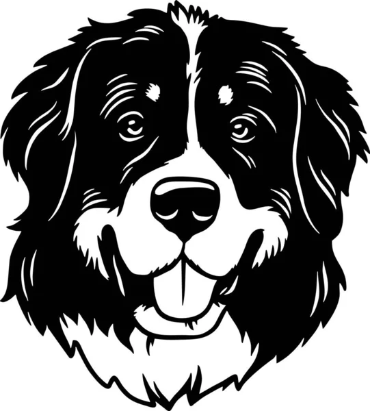 Bernese Mountain Dog - Funny Dog, Vector File, Stencil for Tshirt — 스톡 벡터