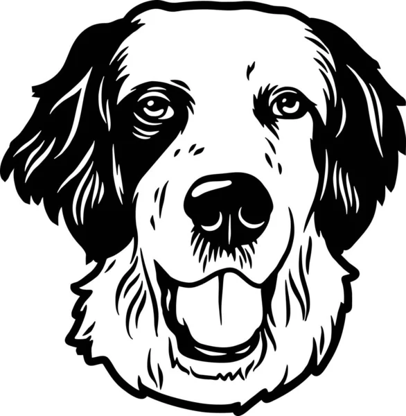 English Setter - Funny Dog, Vector File, Stencil for Tshirt — 스톡 벡터