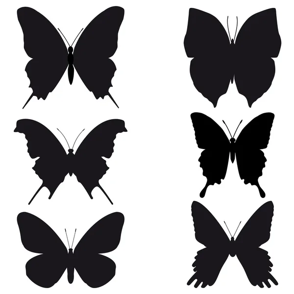 Schwarze Silhouetten von Schmetterlingen auf weißem Hintergrund — Stockfoto