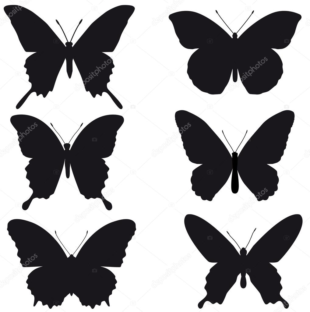 Black silhouettes of butterflies on white background, vector