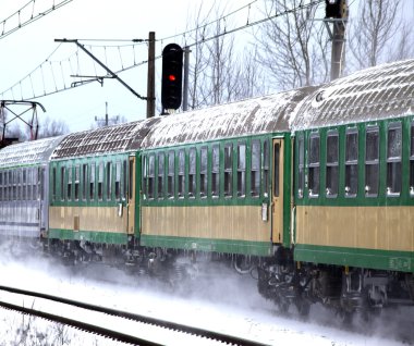yolcu treni