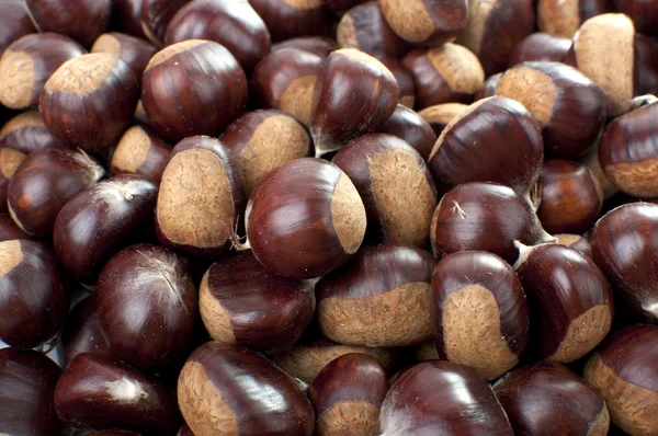 Ripe Chestnuts — Stock Photo, Image