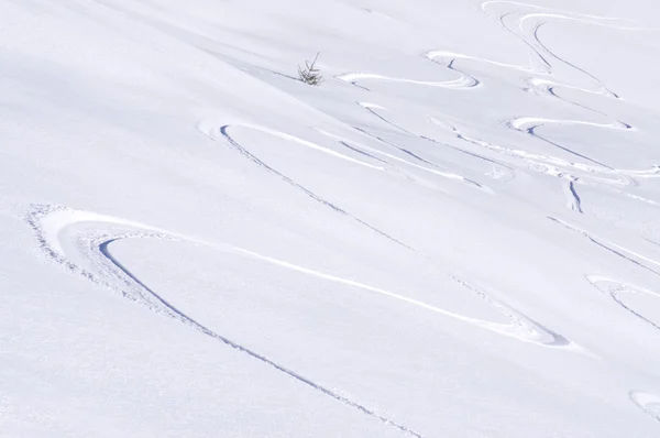 Freeride tracks on powder snow — Stock Photo, Image