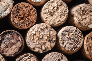 eski mantarlar üzerinde şarap kristalleri