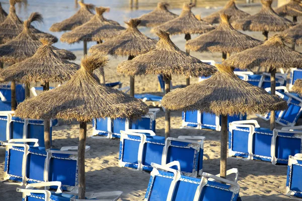 Praia de areia com guarda-sóis de palha e espreguiçadeiras — Fotografia de Stock