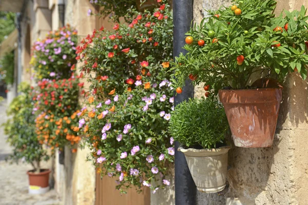 Typisch mediterranes Dorf mit Blumentöpfen in Fassaden in val — Stockfoto