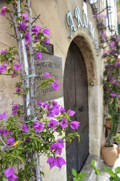 Typisch mediterranes Dorf mit Blumentöpfen in Fassaden in val — Stockfoto