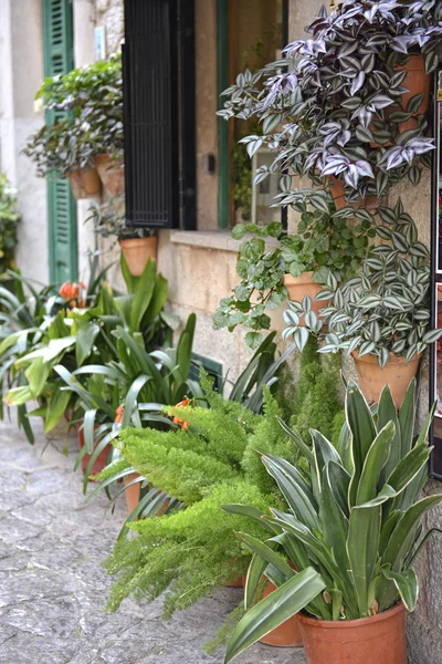 Typical Mediterranean Village with Flower Pots in Facades in Val — Stock Image Typical Mediterranean Village with Flower Pots in Facades in Val Stock Image