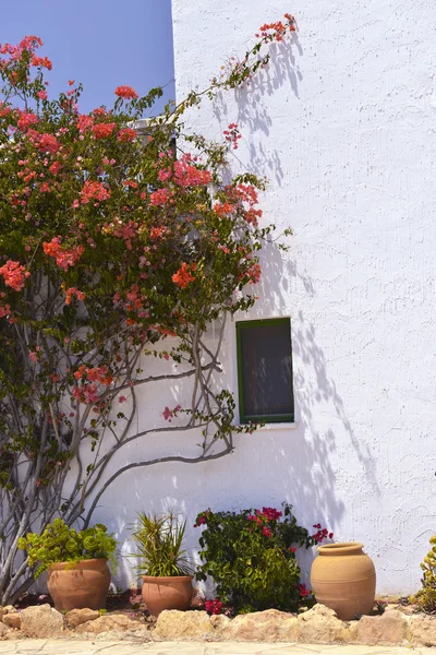 Typical House With Flower Pots in Mallorca, Spain — Stock Photo, Image