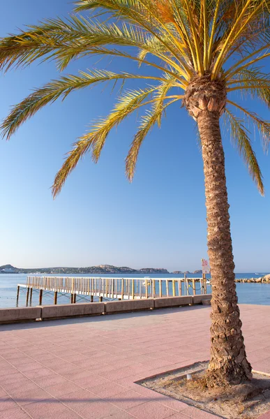 Morning Sunrise in Majorca — Stock Photo, Image