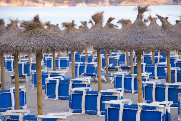 Песчаный пляж с соломенными зонтиками и лежаками — стоковое фото