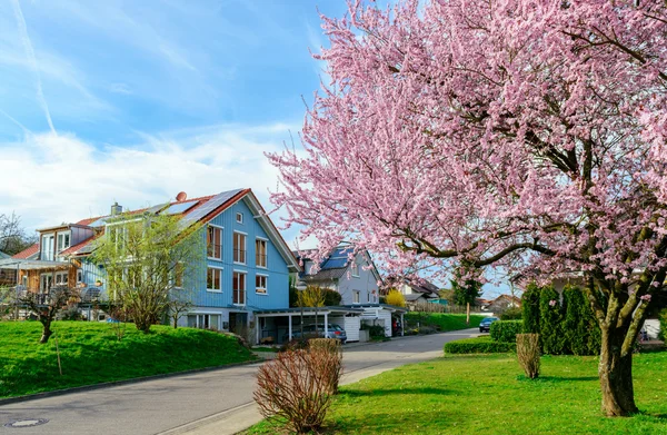 Современные дома весной — стоковое фото
