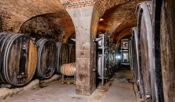 Ancienne cave à vin avec tonneaux — Photo