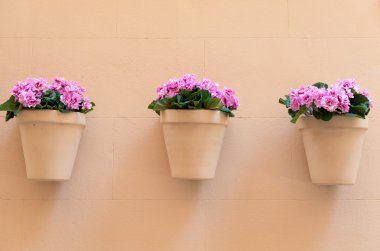 flowerpots with pink flowers  clipart