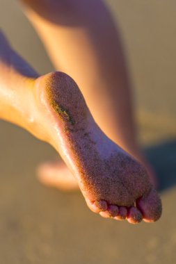 Sandy Female Feet By Sunset clipart