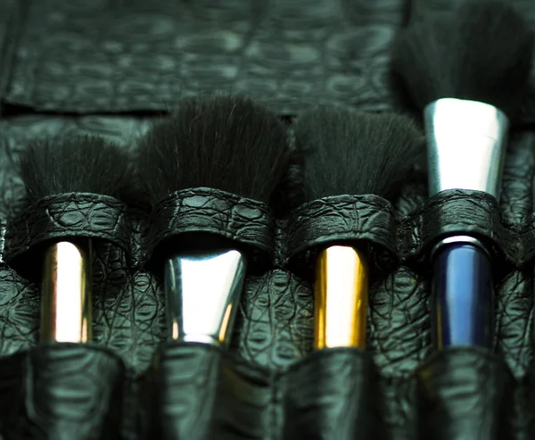 Maquillaje profesional cepillo de artista —  Fotos de Stock