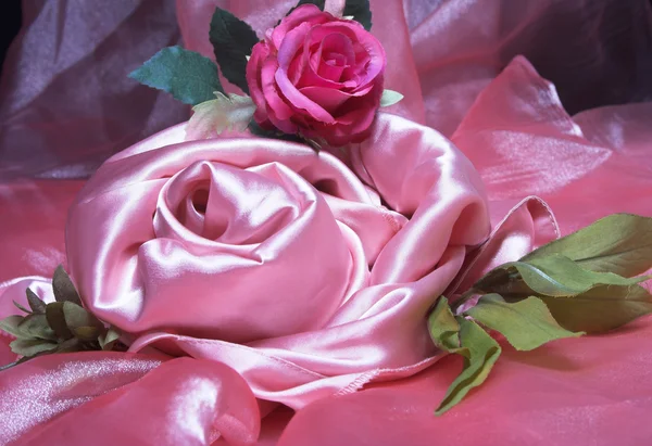 Seda rosa . — Fotografia de Stock
