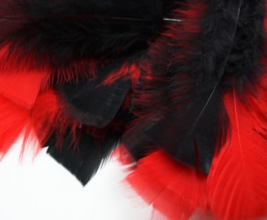 Kırmızı ve siyah tüy