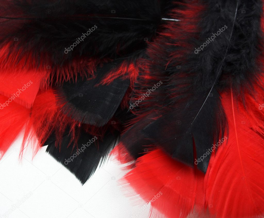 Black and red feather