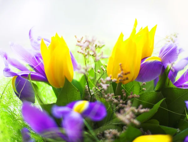 Um monte de flores. — Fotografia de Stock