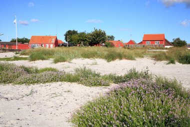 Scandinavian house, Snogebaek, Bornholm, Denmark clipart