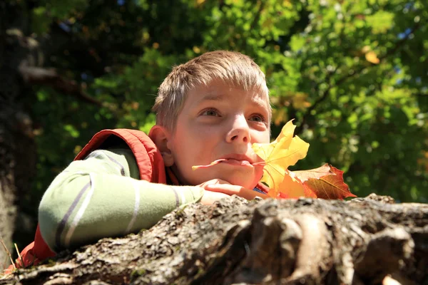 Menino com folhas - outono — Fotografia de Stock