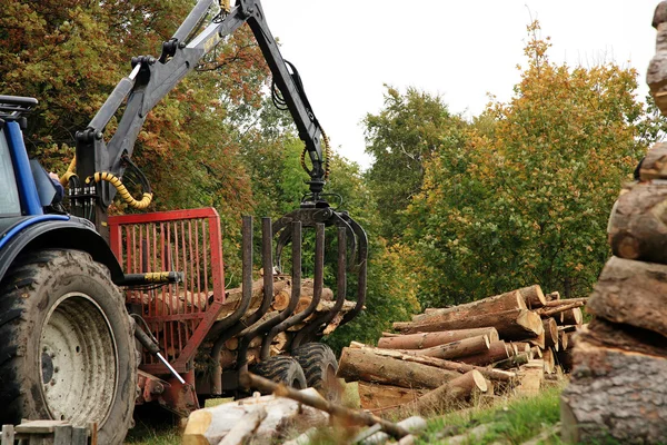 Scarico legna da ardere. Opere d'autunno . — Foto Stock