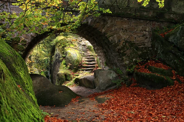 Den hemliga trädgården — Stockfoto