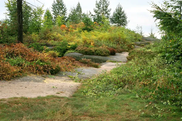 Autunno montagne giardino — Foto Stock