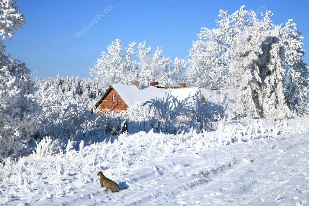 Country old house in snow
