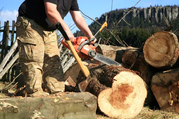 Klipper träd — Stockfoto