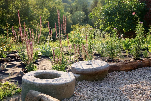 Terraço de cascalho com patch de plantas perenes . — Fotografia de Stock