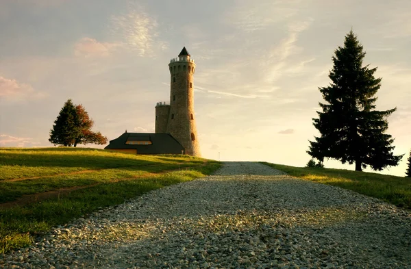 Beroemde Uitkijktoren Dalimilova Rozhledna Tsjechië Toeristische Attractie Dalimilova Rozhledna Uitkijktoren — Stockfoto