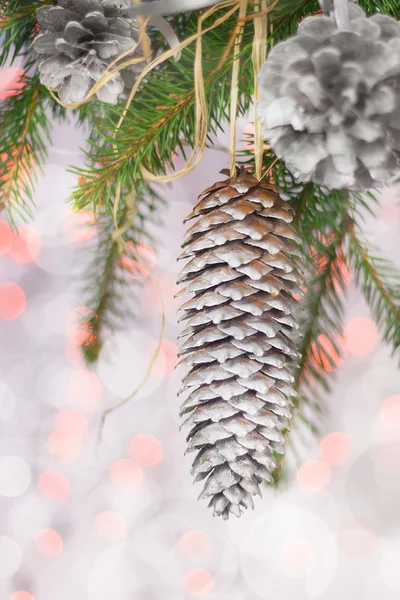 Christmas card with pines and spruce twig — Stock Photo, Image