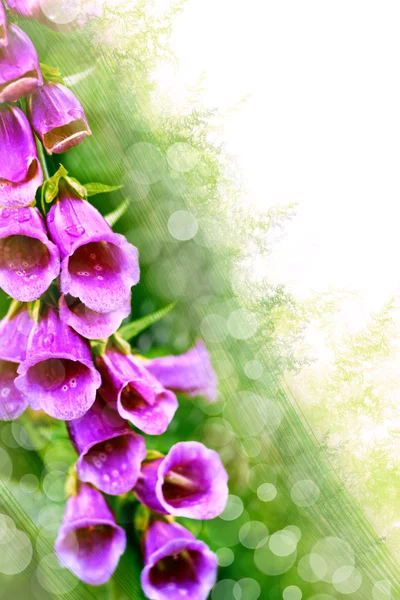 Arte astratta sfondo con primavera motivo floreale — Foto Stock