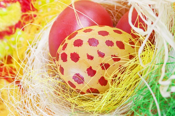 Arte cartão de saudação Páscoa com ovos de Páscoa — Fotografia de Stock