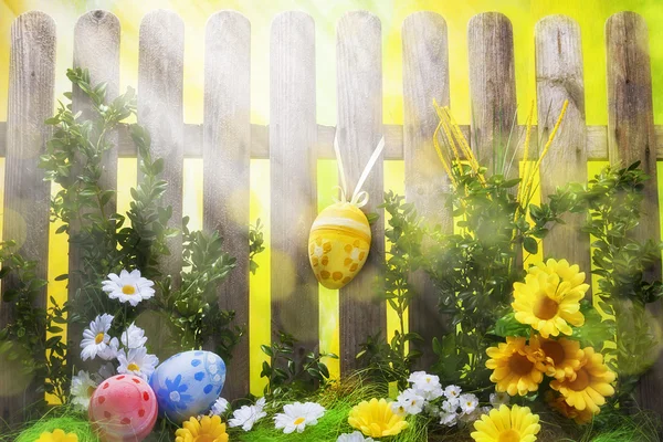 Пасхальный фон с забором, яйцами, весенними цветами — стоковое фото