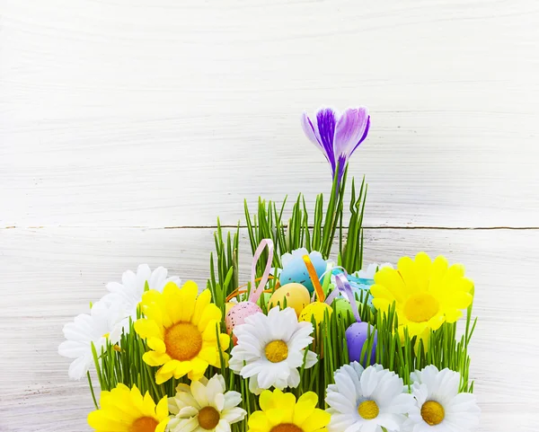 Paasei achtergrond houten kaart voorjaar bloem gras — Stockfoto
