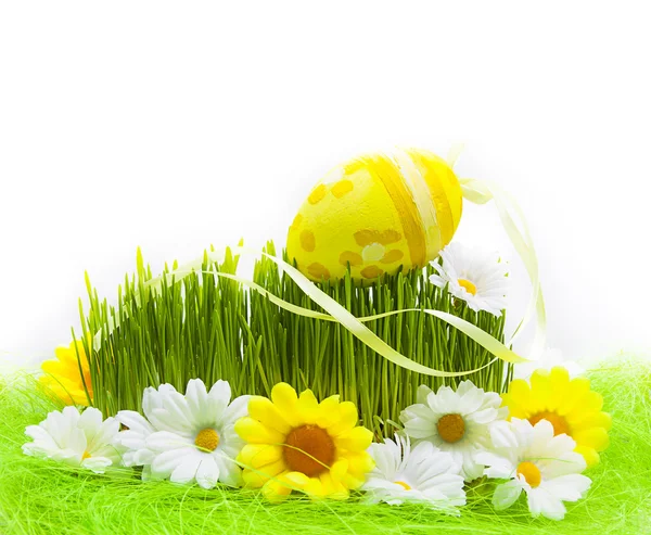Easter Egg background wooden card spring flower grass — Stock Photo, Image