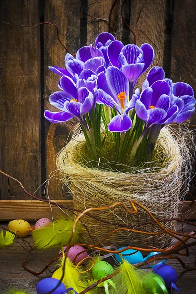 Пасхальная корзина для яиц деревянная открытка крокус весеннее перо цветок — стоковое фото