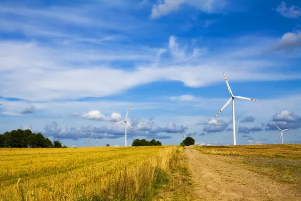 Wind mill turbines farm landscape — Stock Photo, Image